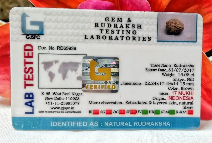 17 Mukhi Certificate