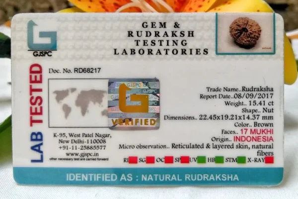 17 Mukhi Certificate