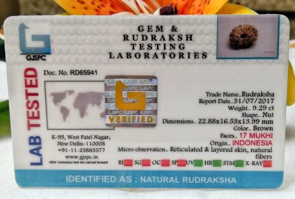 17 Mukhi Certificate