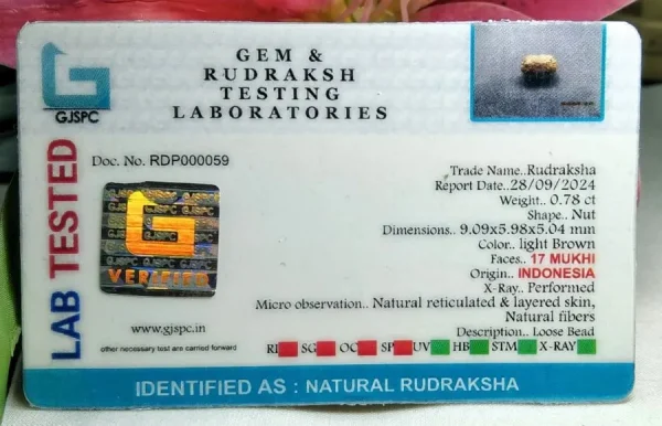 17 Mukhi Certificate