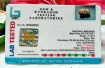 17 Mukhi Certificate