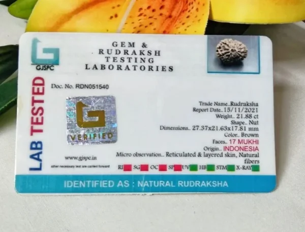 17 Mukhi Certificate