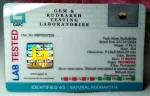 17 Mukhi Certificate