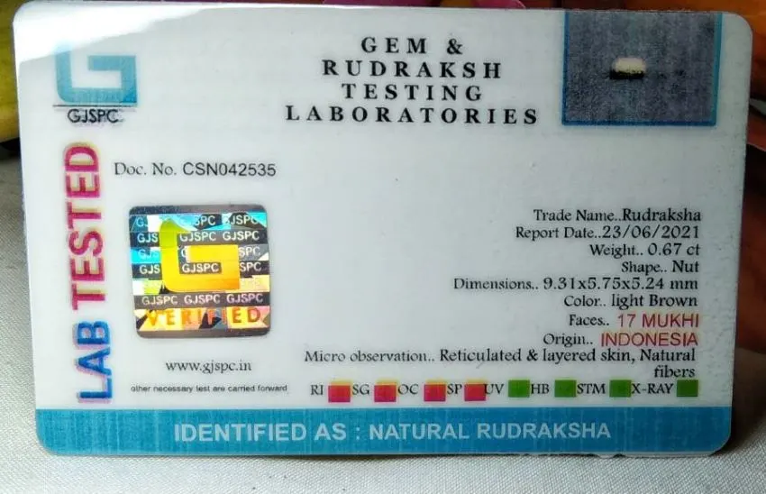 17 Mukhi Certificate