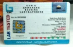 17 Mukhi Certificate