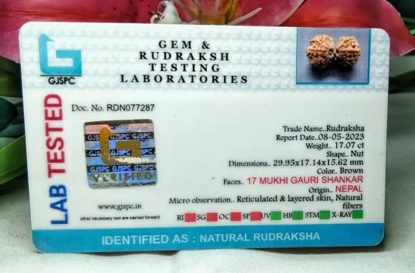 17 Mukhi Certificate