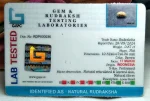 17 Mukhi Certificate