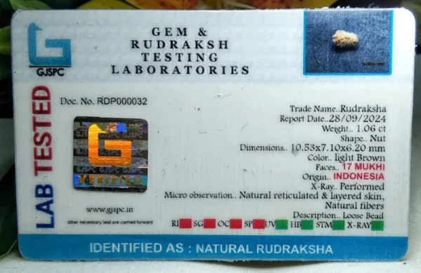 17 Mukhi Certificate