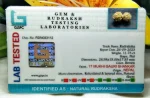 17 Mukhi Certificate
