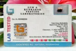 17 Mukhi Certificate
