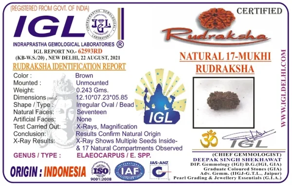 17 Mukhi Certificate