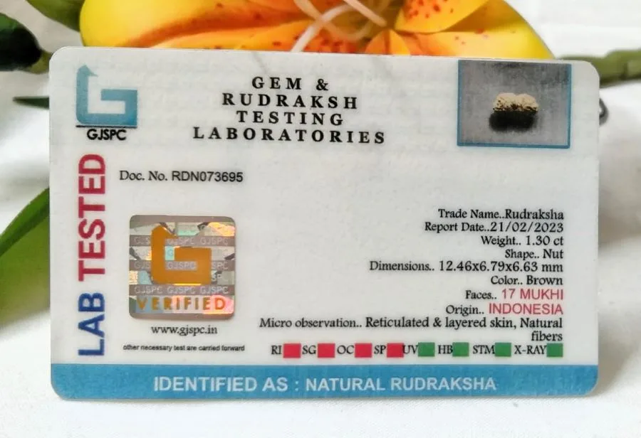 17 Mukhi Certificate