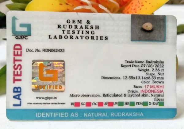 17 Mukhi Certificate