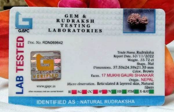 17 Mukhi Certificate