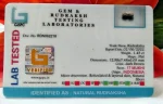 17 Mukhi Certificate