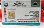 17 Mukhi Certificate