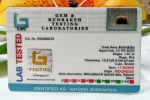 17 Mukhi Certificate