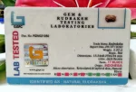 17 Mukhi Certificate