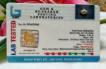 17 Mukhi Certificate