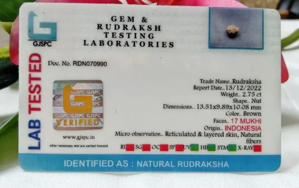 17 Mukhi Certificate