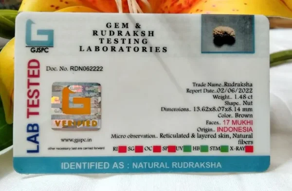 17 Mukhi Certificate