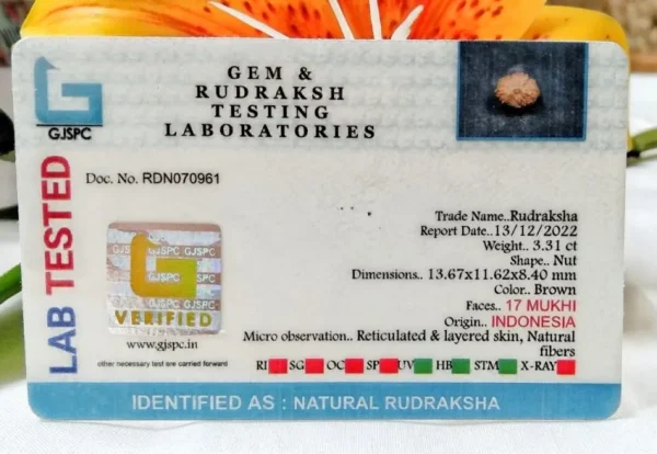 17 Mukhi Certificate