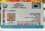 17 Mukhi Certificate