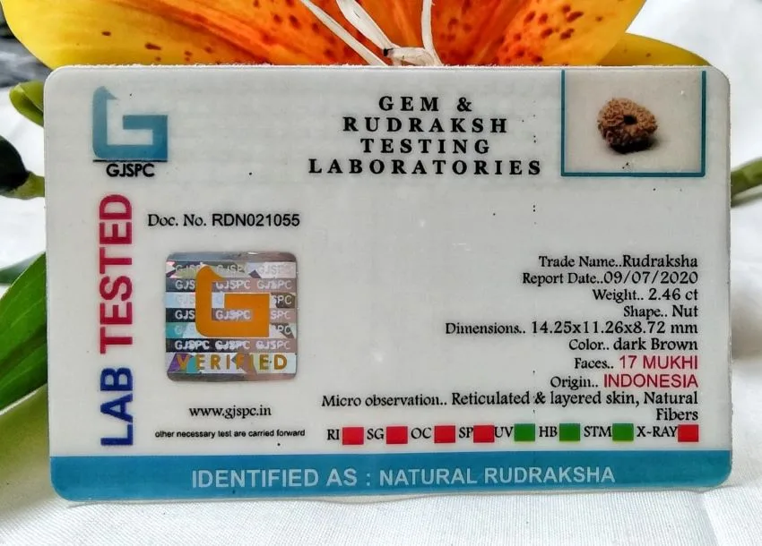 17 Mukhi Certificate