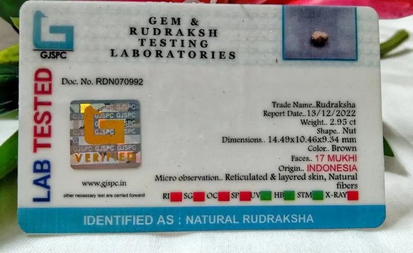 17 Mukhi Certificate
