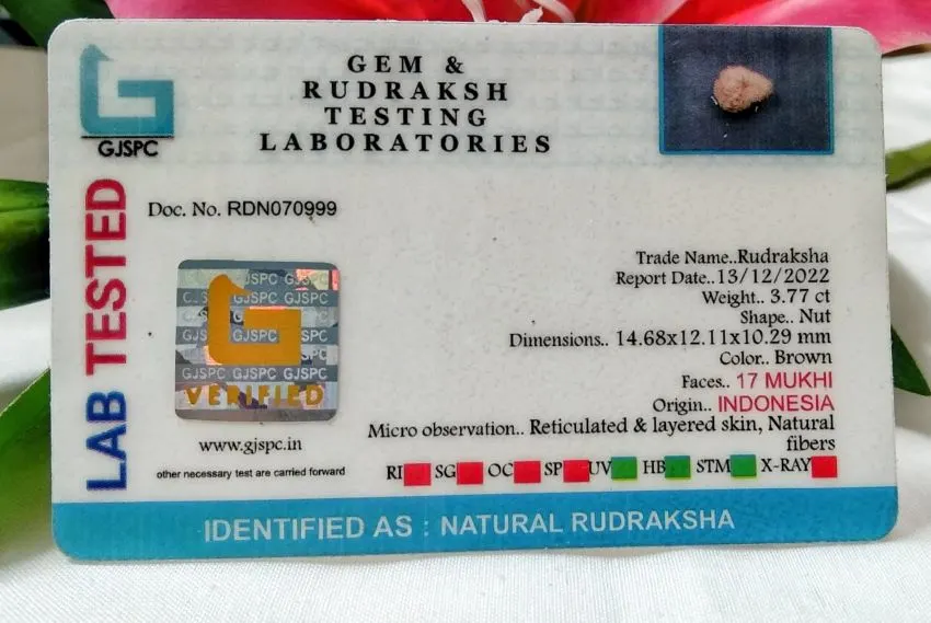 17 Mukhi Certificate
