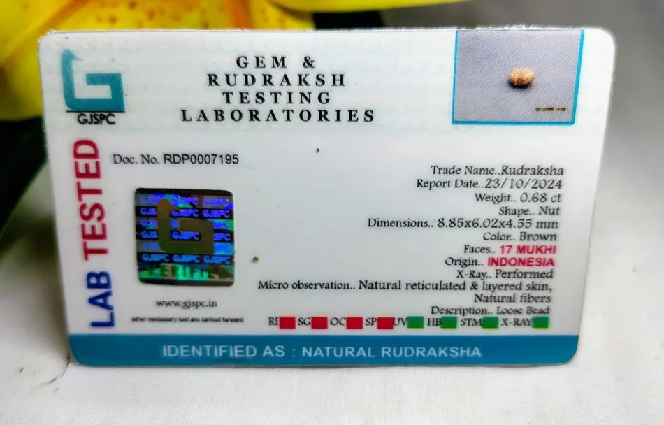 17 Mukhi Certificate