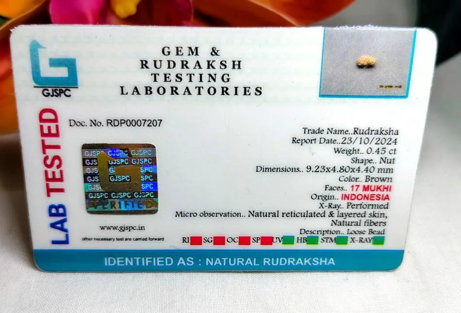 17 Mukhi Certificate