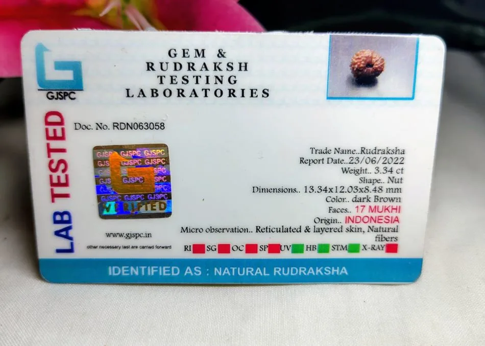 17 Mukhi Certificate