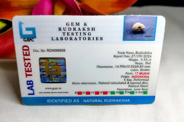 17 Mukhi Certificate
