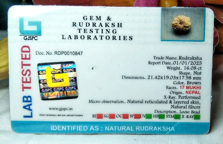 17 Mukhi Certificate