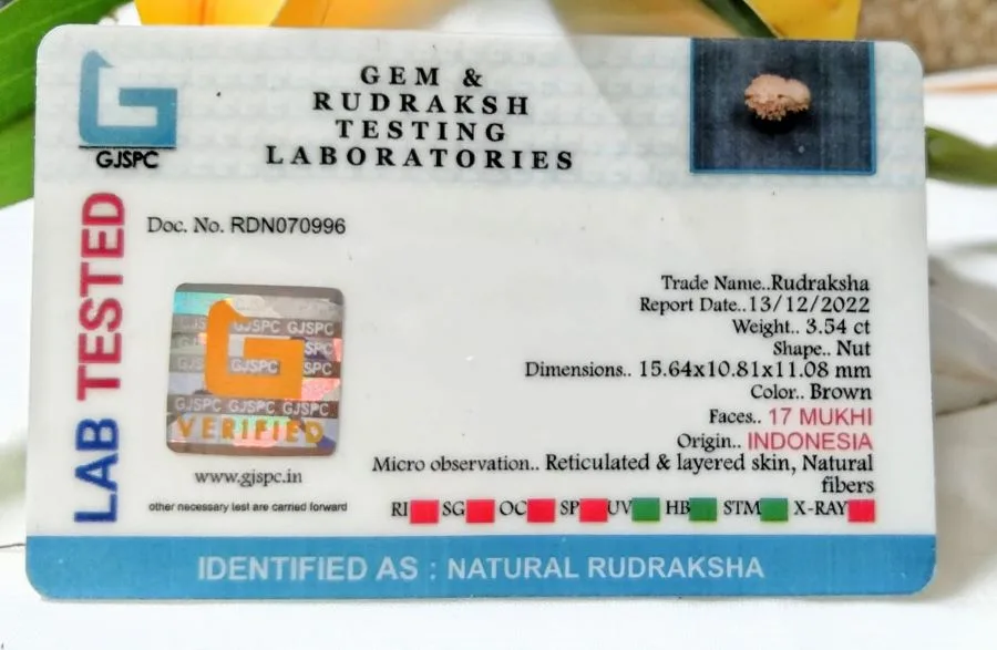 17 Mukhi Certificate