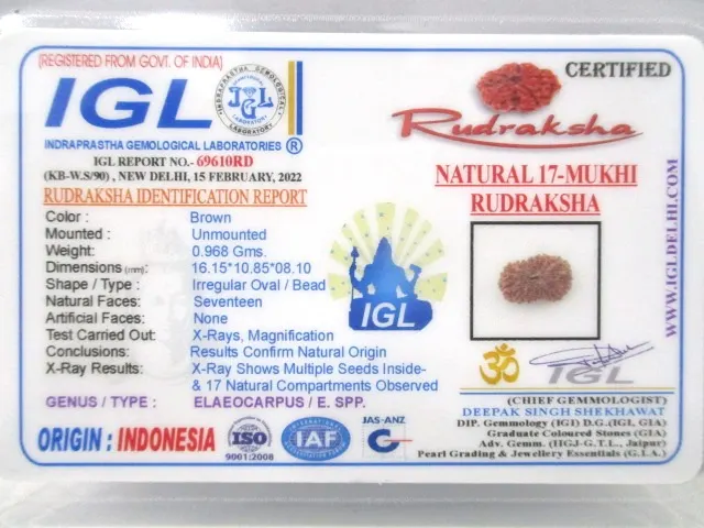 17 Mukhi Certificate