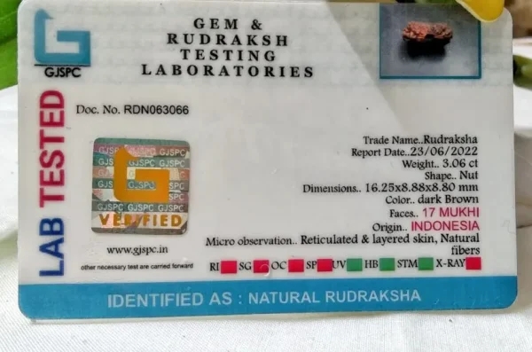 17 Mukhi Certificate
