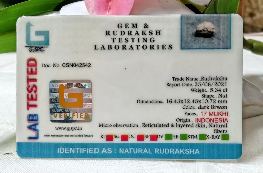 17 Mukhi Certificate