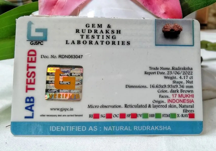 17 Mukhi Certificate