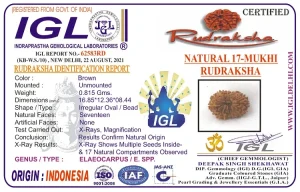 17 Mukhi Certificate