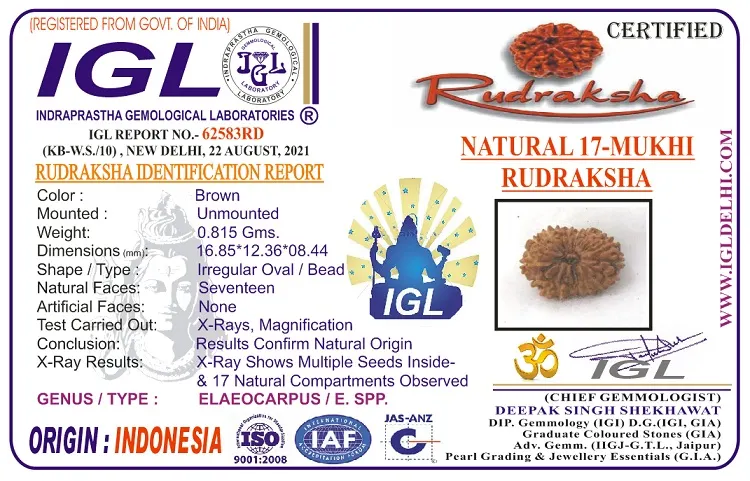 17 Mukhi Certificate