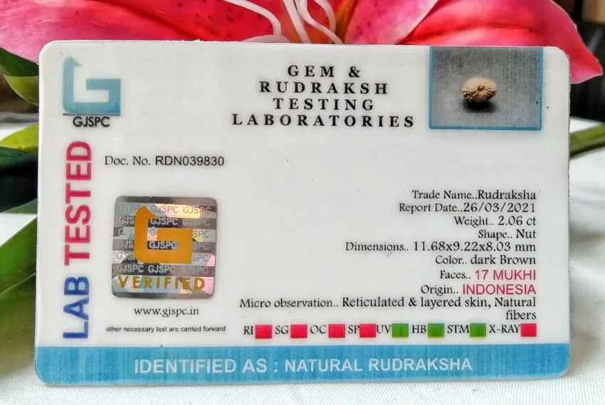 17 Mukhi Certificate