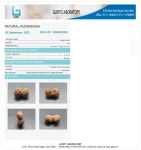 17 Mukhi Certificate