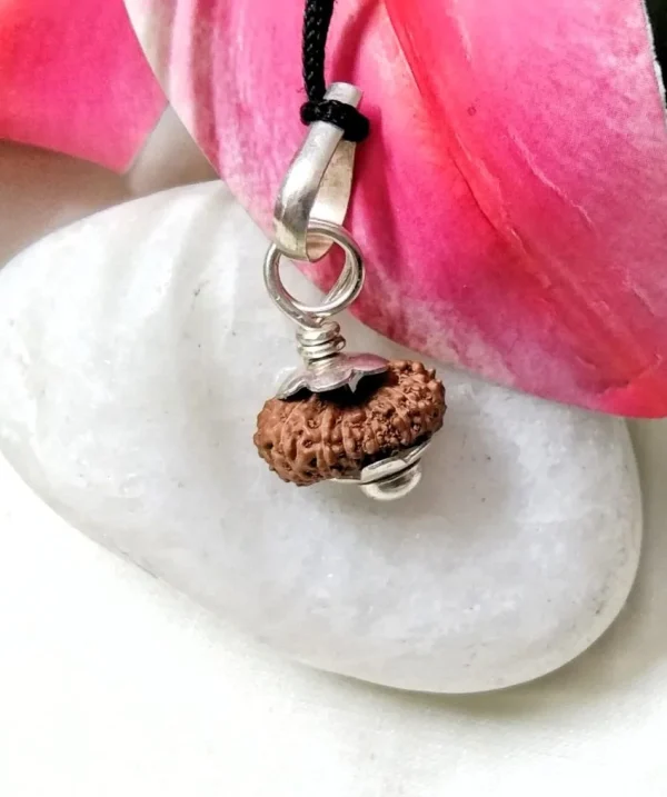17 Mukhi Indonesia