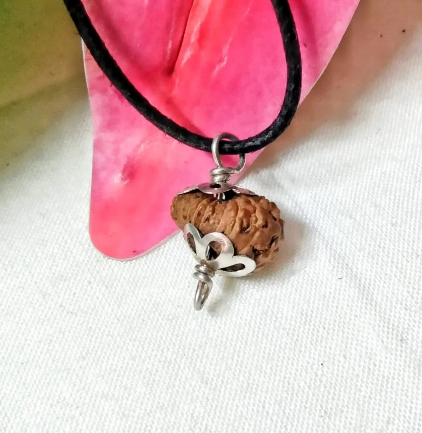 17 Mukhi Rudraksha
