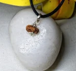 17 Mukhi Rudraksha