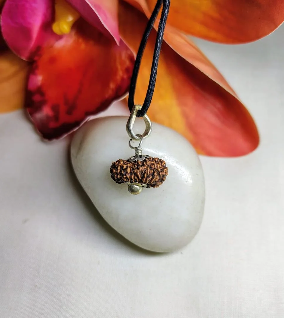 17 Mukhi Rudraksha
