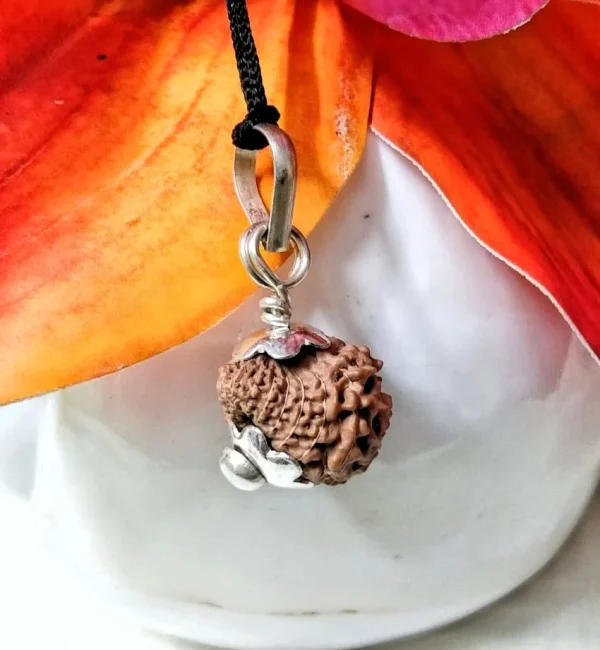17 Mukhi Rudraksha