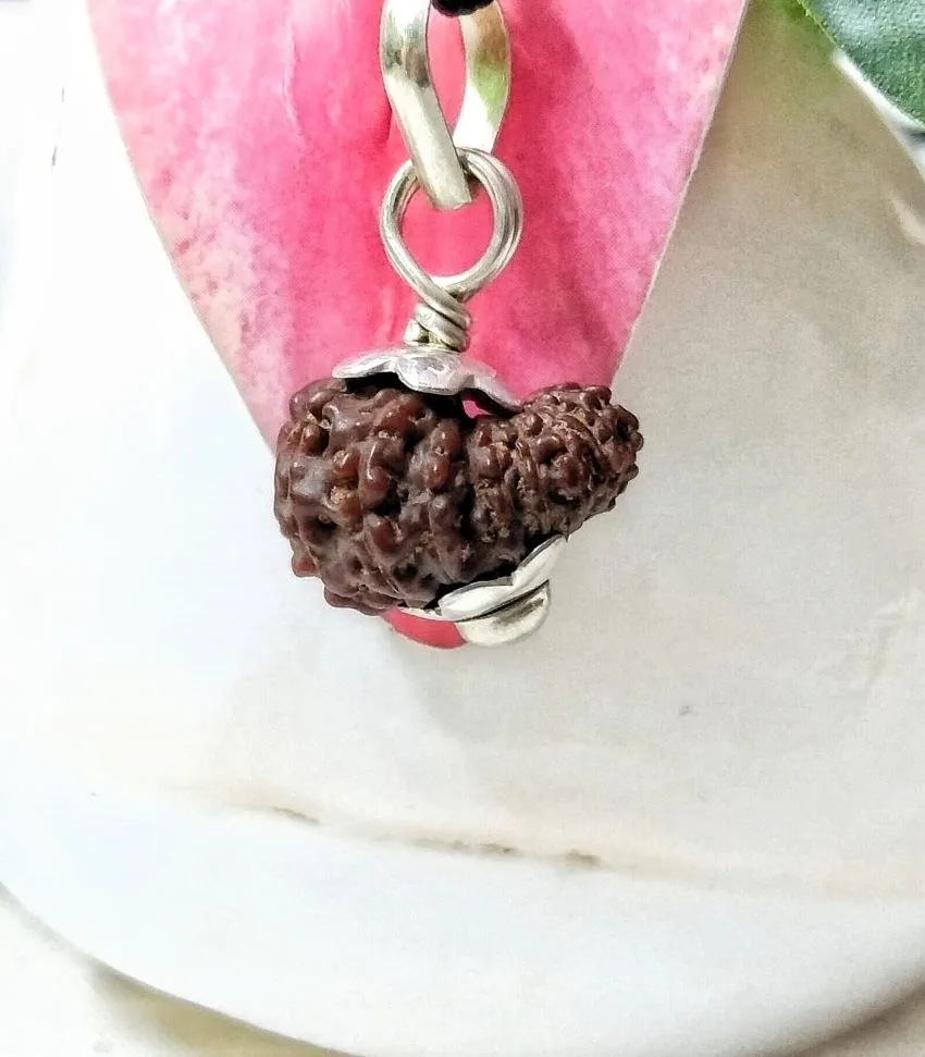 17 Mukhi Rudraksha
